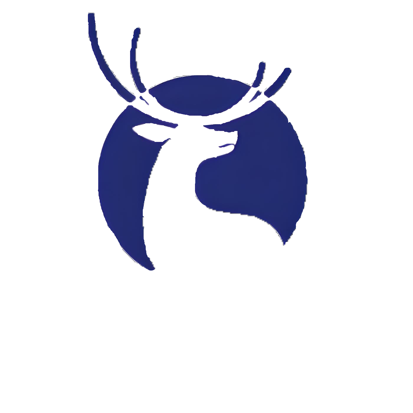 瑞辛咖啡礼品卡